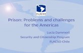 Prison: Problems and challenges for the Americas