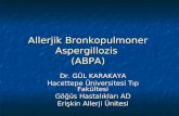Allerjik Bronkopulmoner Aspergillozis (ABPA)