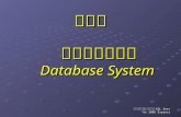 資料庫系統概觀 Database System