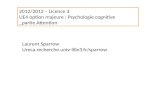 2012/2013 – Licence 3 UE4 option majeure : Psychologie cognitive _partie Attention