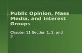 Public Opinion, Mass Media, and Interest Groups