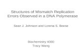 Structures of Mismatch Replication Errors Observed in a DNA Polymerase