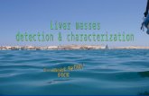 Liver masses detection & characterization
