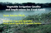 Vegetable Irrigation Quality  and Implications for Food Safety Juan  Anciso  Ph.D.,