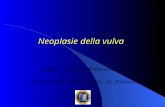 Neoplasie della vulva