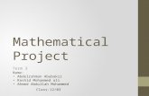 Mathematical Project