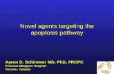 Novel agents targeting the apoptosis pathway