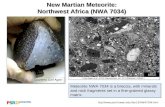New Martian Meteorite: Northwest Africa (NWA 7034)