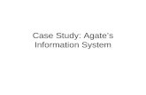 Case Study: Agate’s Information System
