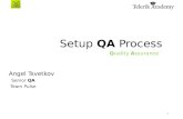 Setup  QA  Process
