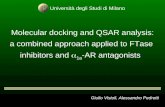 Molecular docking and QSAR analysis: a combined approach applied to FTase