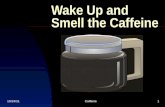 Wake Up and Smell the Caffeine