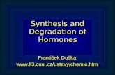 Synthesis and Degradation of Hormones