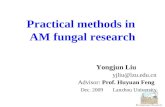 Practical methods in  AM fungal research