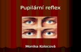 Pupilární reflex