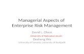 Managerial Aspects of  Enterprise Risk Management
