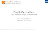 Credit Derivatives HEG program in Risk Management