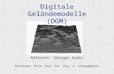 Digitale Geländemodelle (DGM)