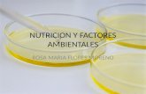 NUTRICION Y FACTORES AMBIENTALES