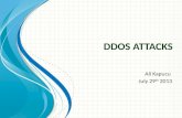 Ddos  Attacks
