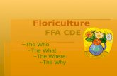 Floriculture FFA CDE