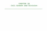 CHAPTER  10 Cell Growth and Division