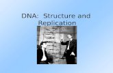 DNA:  Structure and  Replication