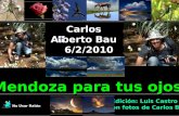 Carlos Alberto Bau    6/2/2010 En su memoria