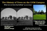The History of Trees on the UVM Campus