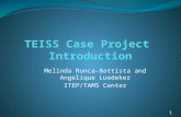 TEISS Case Project  Introduction