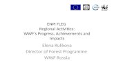 ENPI FLEG  Regional Activities: WWF’s Progress, Achievements and Impacts