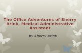 The Office Adventures of Sherry Brink, Medical Administrative Assistant