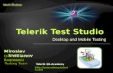 Telerik  Test  Studio