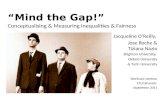 “Mind the Gap!” Conceptualising  & Measuring Inequalities & Fairness