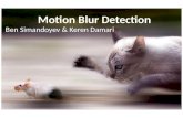 Motion Blur  Detection