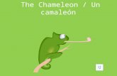 The Chameleon / Un  camaleón