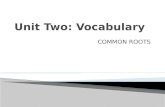 Unit Two: Vocabulary