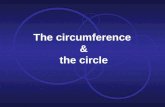 The circumference  & the circle