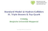 Standard Model @  Hadron Colliders III. Triple  Bosons  & Top Quark