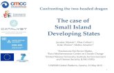 Confronting the two-headed dragon The case of  Small Island  Developing States