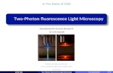 Two-Photon fluorescence Light Microscopy