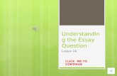 Understanding the Essay Question