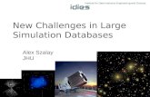 New Challenges in Large Simulation Databases