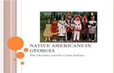 Native Americans In Georgia