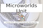 Microworlds Unit