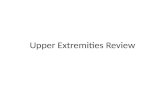 Upper Extremities Review