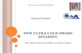 New ultra cold dwarf binaries