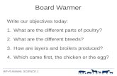 Board Warmer