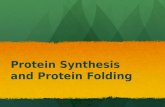 Protein Synthesis and Protein Folding