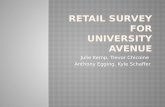 Retail Survey for University Avenue